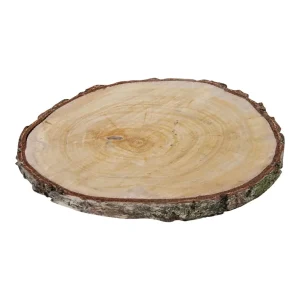 Houtschijf | Berk | 30-35 cm